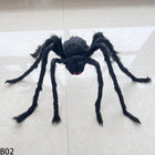 B02
