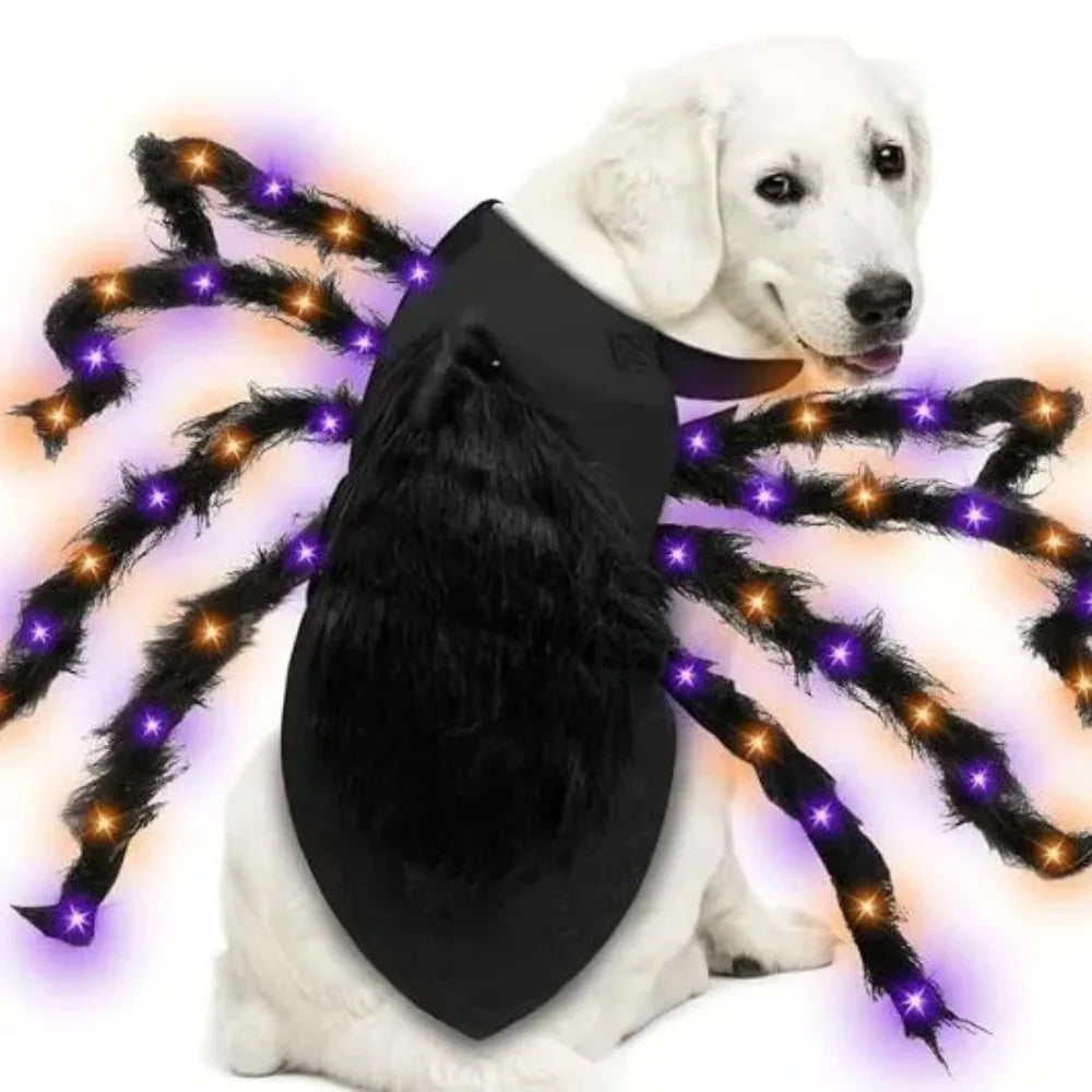 Large Dog Costume Spider Costume with LED Purple Lights Funny for Dogs Pets Clothes