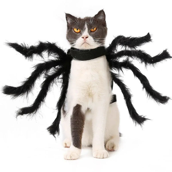 Cat Halloween Costume Cat Bat Wings - Pet Bat Costume Dress Costume Outfit Wing for Small - black / M