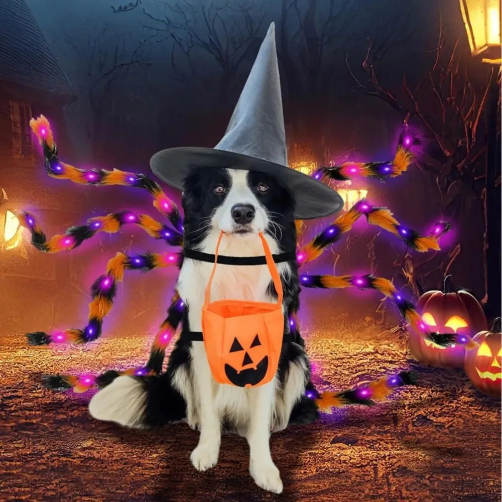 Large Dog Costume Spider Costume with LED Purple Lights Funny for Dogs Pets Clothes