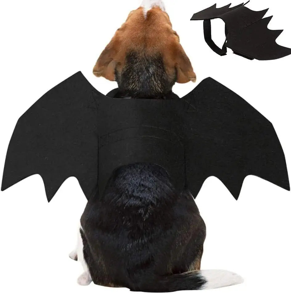 Cute Cat Costume Black Bat Wings Safety Belt Role Playing Pet Cat Dog Decoration