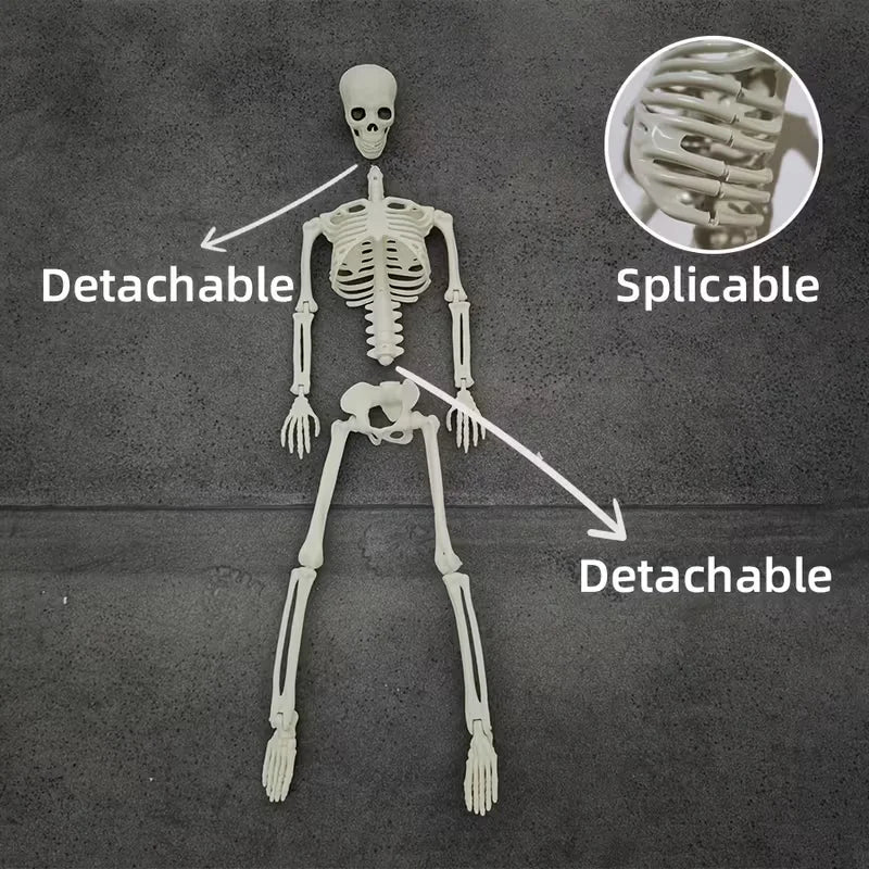 Movable Skeleton Halloween Decoration - product image 4
