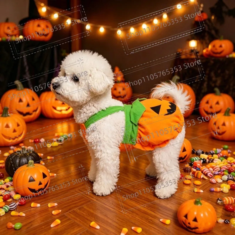 Cute Pumpkin Pet Harness Dress Funny Transformation Outfit Adjustable Pumpkin