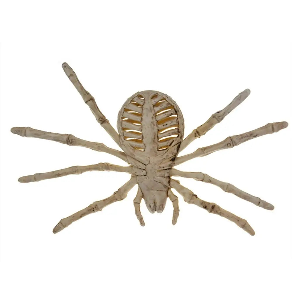 Human Bones Halloween Bats Skeleton Skeleton Model Scary Halloween Animal - product image 5