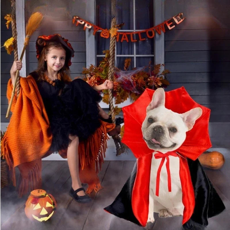 Pet Cape Costume with Bat Wings Adjustable Vampire Cloak for Puppy Kitten Dog Cat