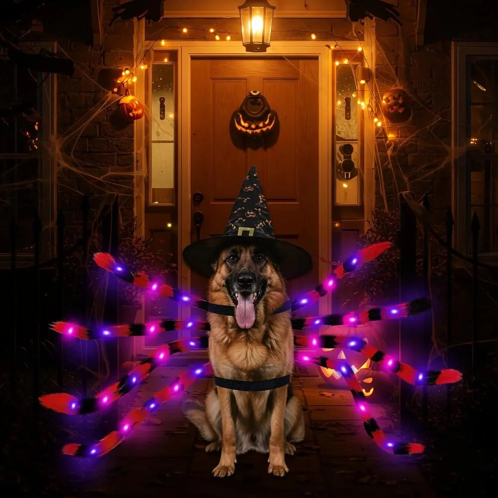 Large Dog Costume Spider Costume with LED Purple Lights Funny for Dogs Pets Clothes