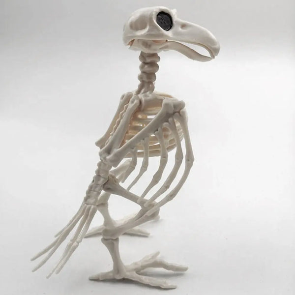 Skeleton Halloween Decoration