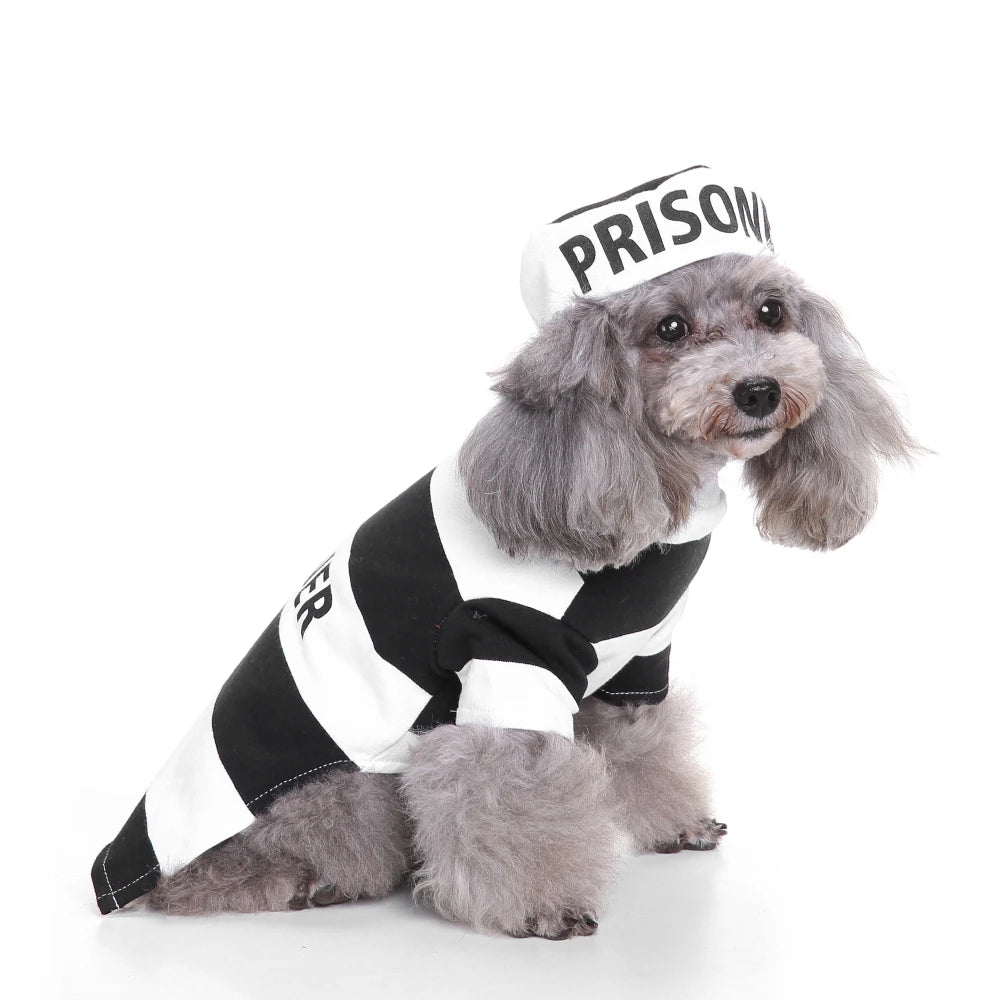 Dog Suit Dog Halloween Costumes Cats for Chihuahua Clown Pet Costume for Cats - Jedi robes / L