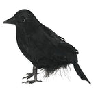 Crow