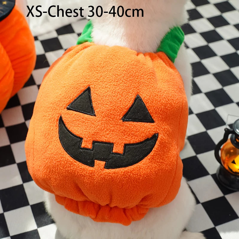 Dog Costumes Funny Pumpkin Lantern Transformation Outfit Dog Cat Two Legged Pet Cute