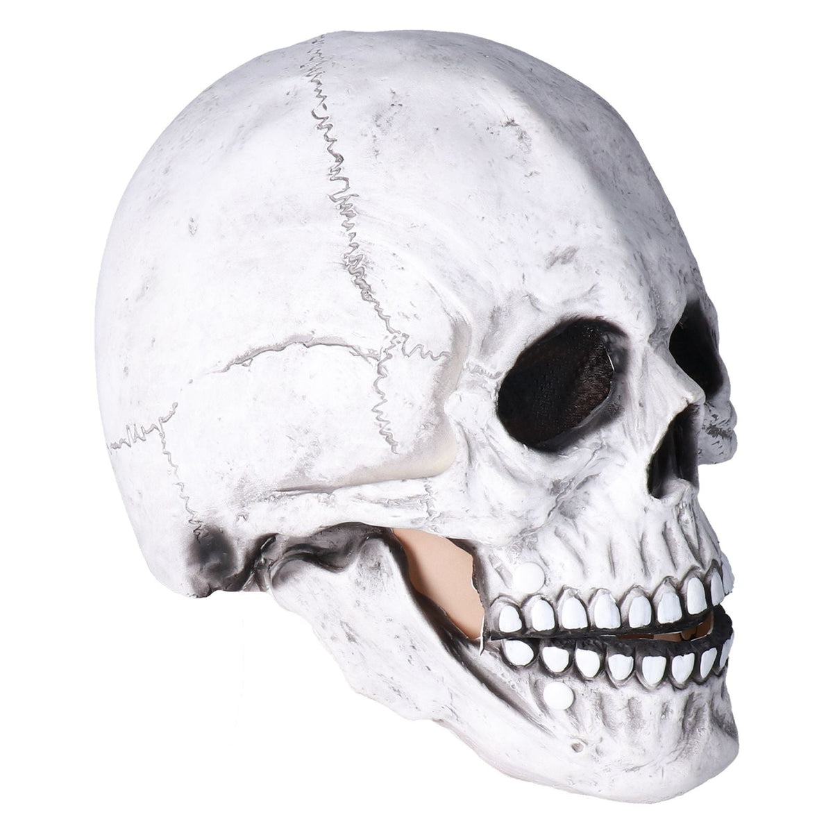 Full-Head Skull Latex Horror Mask - Light Gray - product image 3