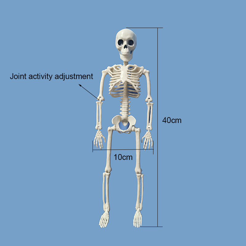 Halloween Skull Decoration - Discount Halloween City