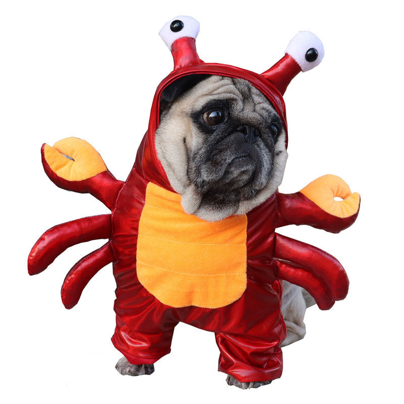 Turn Into a Cat and Dog Costume for Halloween - Discount Halloween City