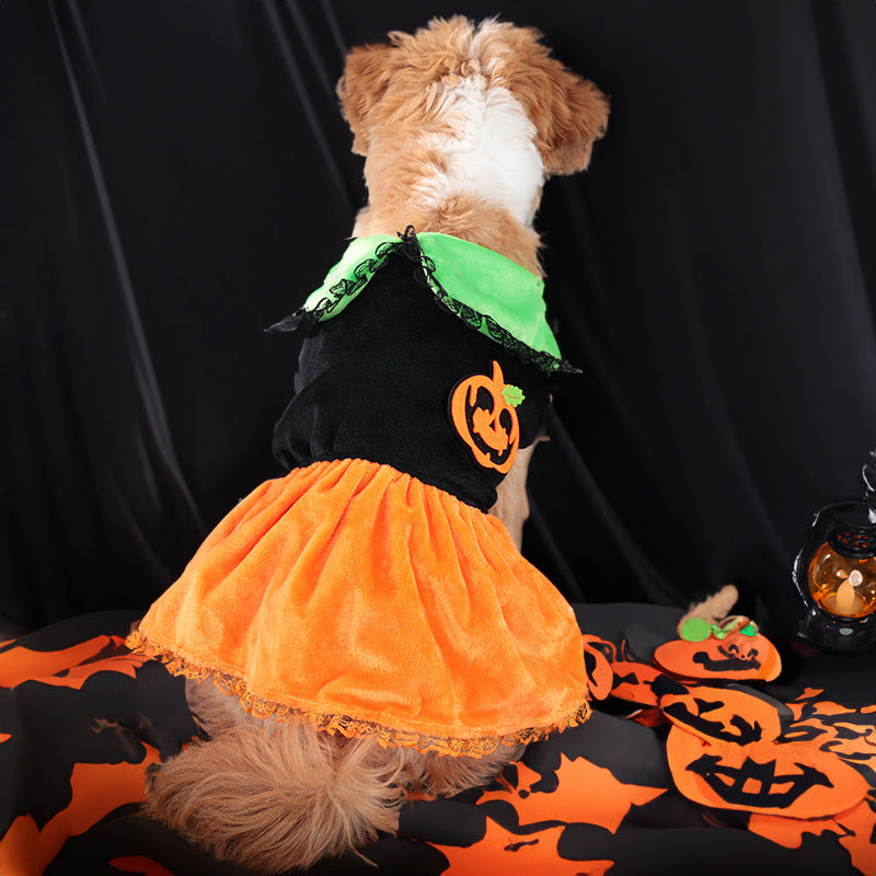 Cross-border Pet Costume Halloween Classic Pumpkin Skirt - Discount Halloween City