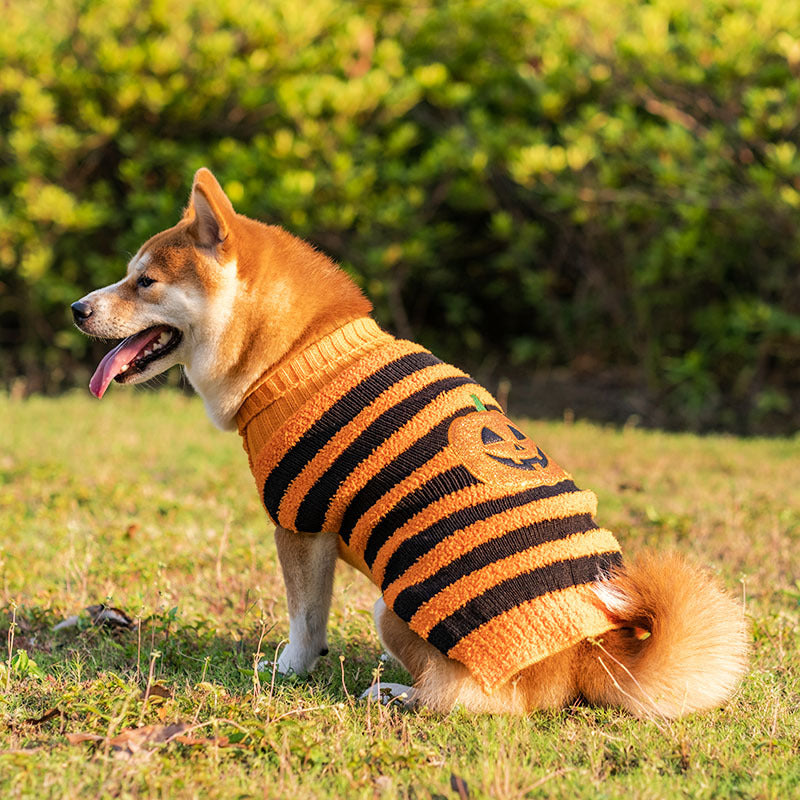 Halloween Dog Sweaters Pet Costume Teddy Warm Leisure - Discount Halloween City