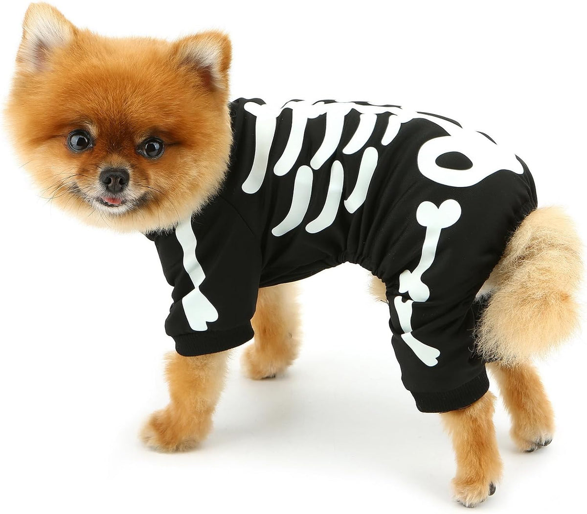 Small Dog Glow-in-the-Dark Skeleton Halloween Pet Jumpsuit Costume - product image 4
