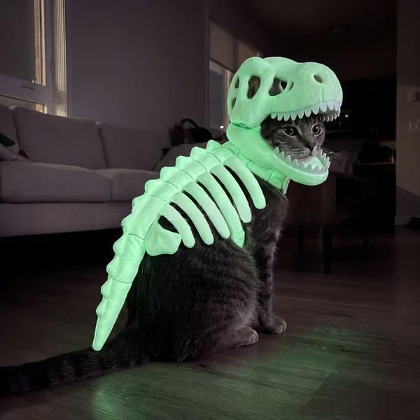 Pet Dark Dinosaur Skeleton Costume