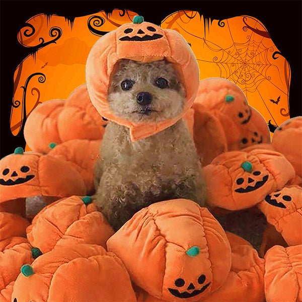 Pet Hat Halloween Funny Pumpkin Hat Cute Pet Animal Costume - Discount Halloween City