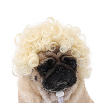 Pet for Curly or Straight Hair Wig - alternate view 13