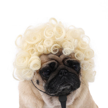 Pet for Curly or Straight Hair Wig - alternate view 5