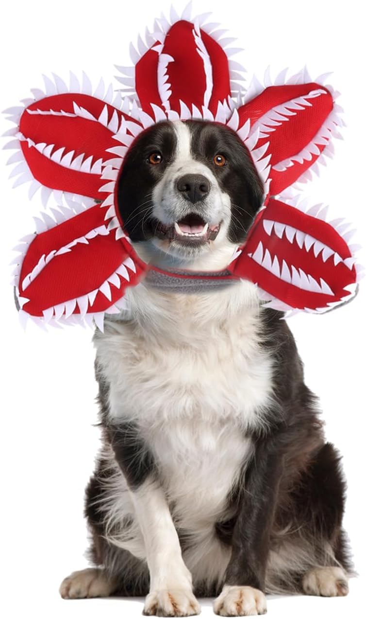 Dog Halloween Chomper Costume - Pet Holiday Demon Hat Scary - Discount Halloween City