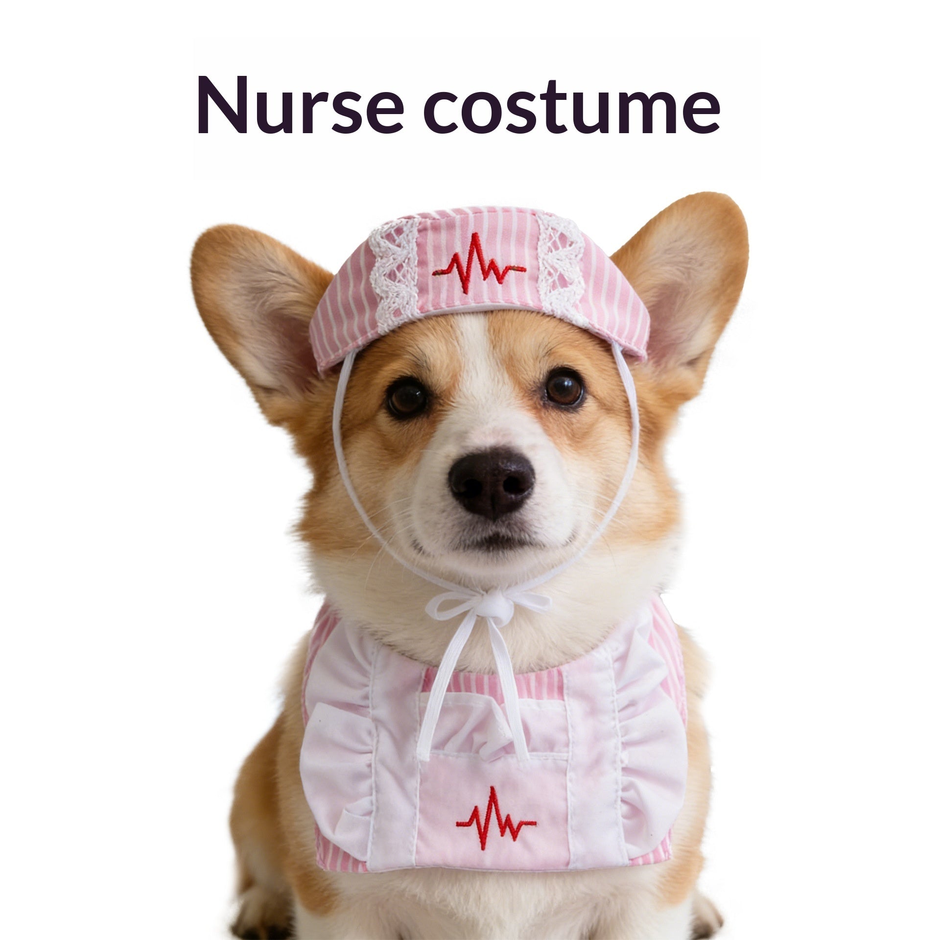 2896dcf4d37303614110dc6b07f08531