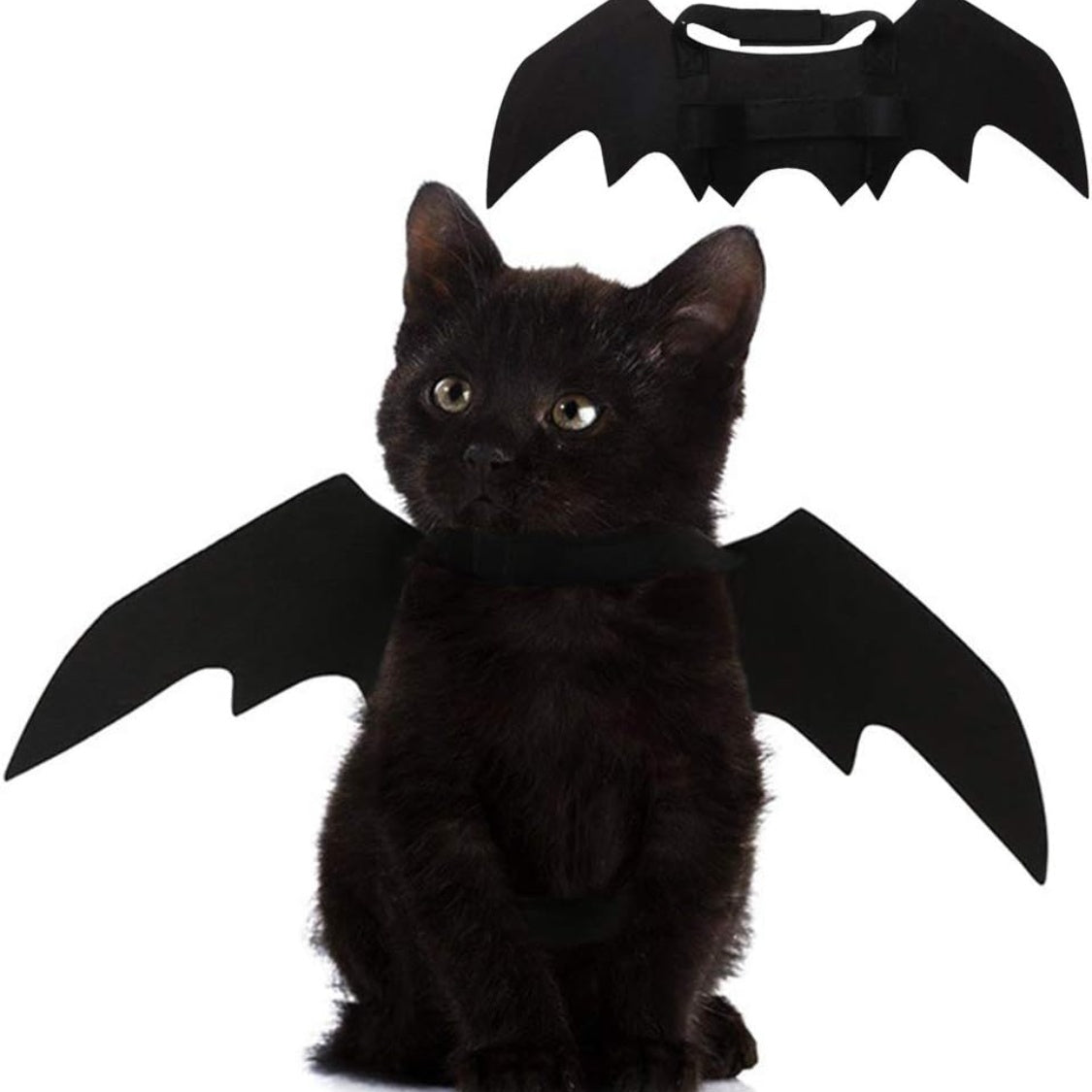 Pet Cat Bat Wings for Decoration