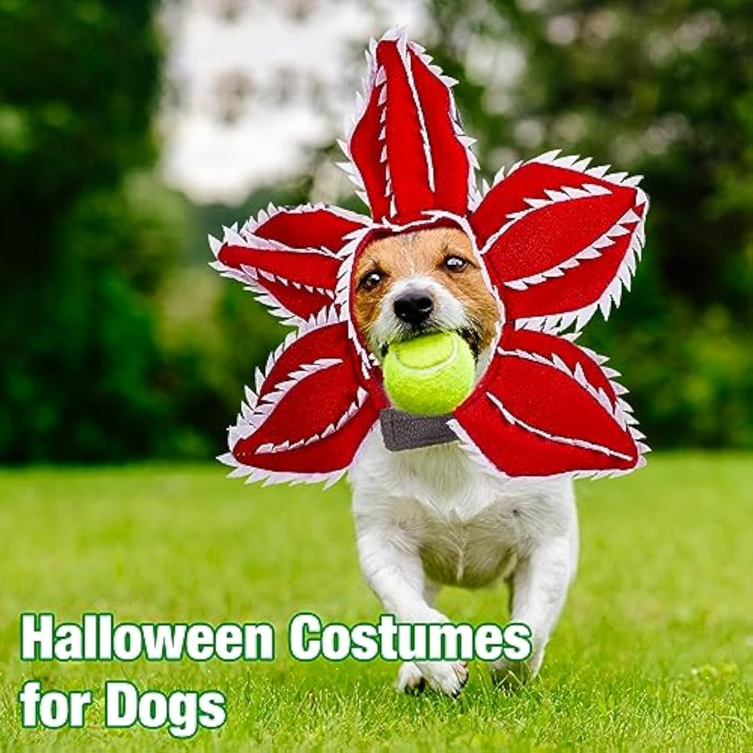Dog Halloween Chomper Costume - Pet Holiday Demon Hat Scary - Discount Halloween City