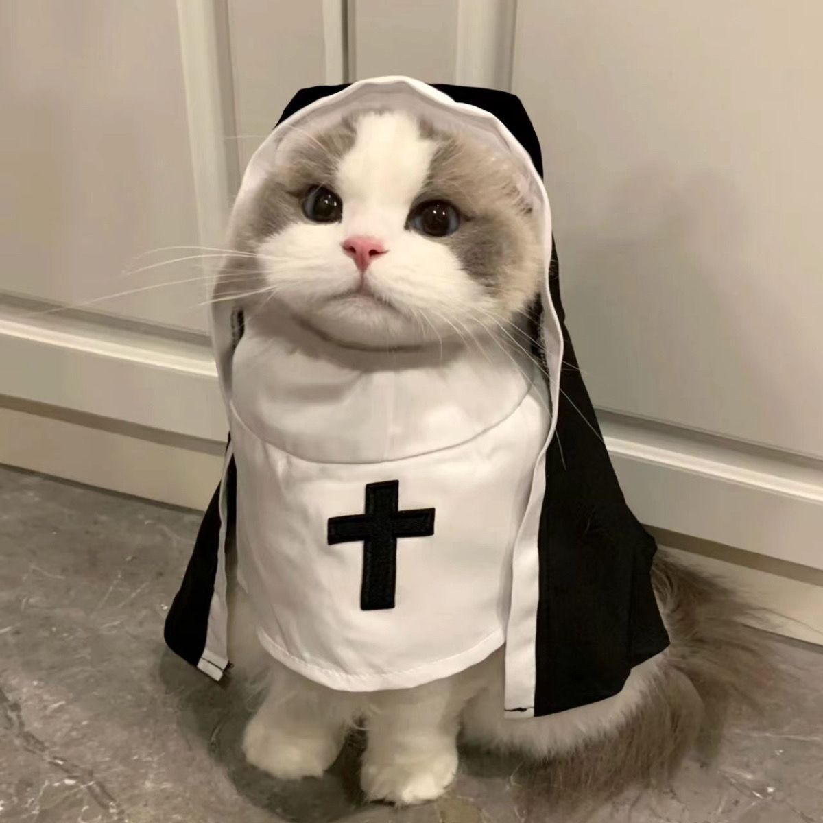 PET SHOW Nun Dog Costume for Small Medium Dogs Halloween - Discount Halloween City