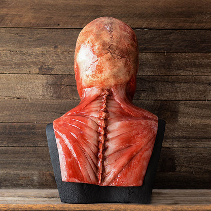 Halloween Latex Bloody Horror Skull Mask - Discount Halloween City