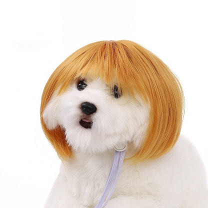 Pet for Curly or Straight Hair Wig - alternate view 7