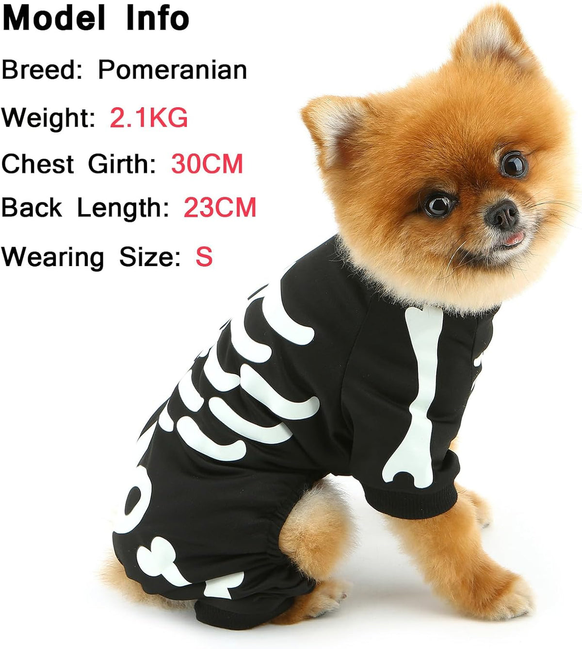 Small Dog Glow-in-the-Dark Skeleton Halloween Pet Jumpsuit Costume - product image 5