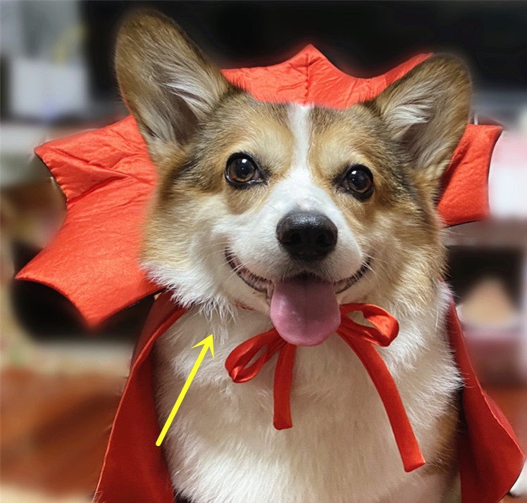 Halloween Pet Costumepet Cape Vampire King - Discount Halloween City