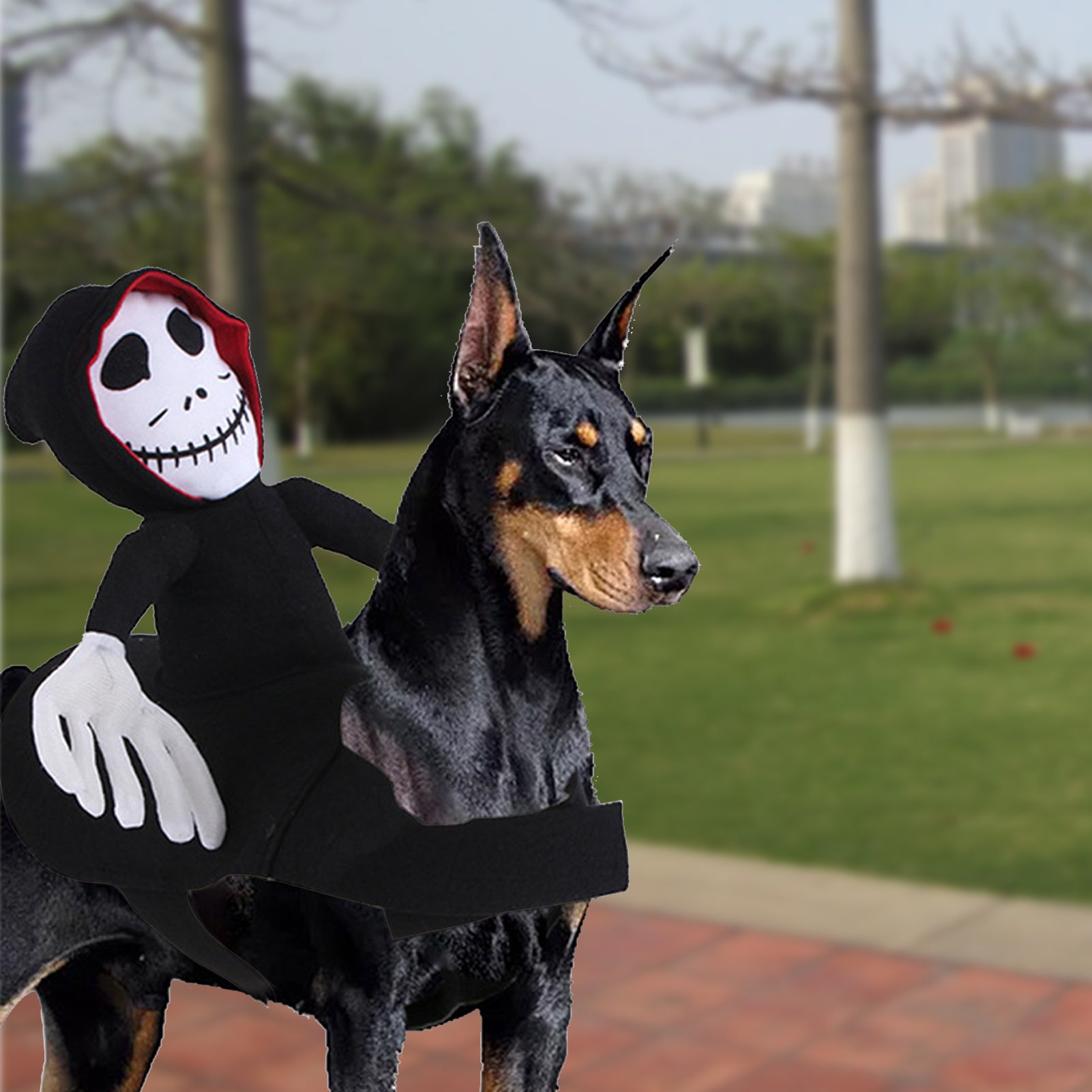 Funny Pet Halloween Costume Pet Decoration Dress-up Pet - Discount Halloween City