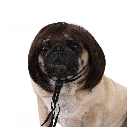 Pet for Curly or Straight Hair Wig - alternate view 6