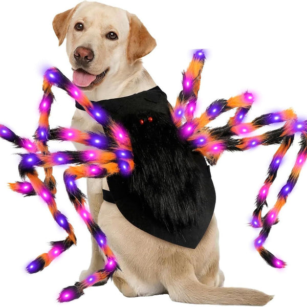 Halloween Luminescent Spider Decorative Pet Dress-up Props - Discount Halloween City