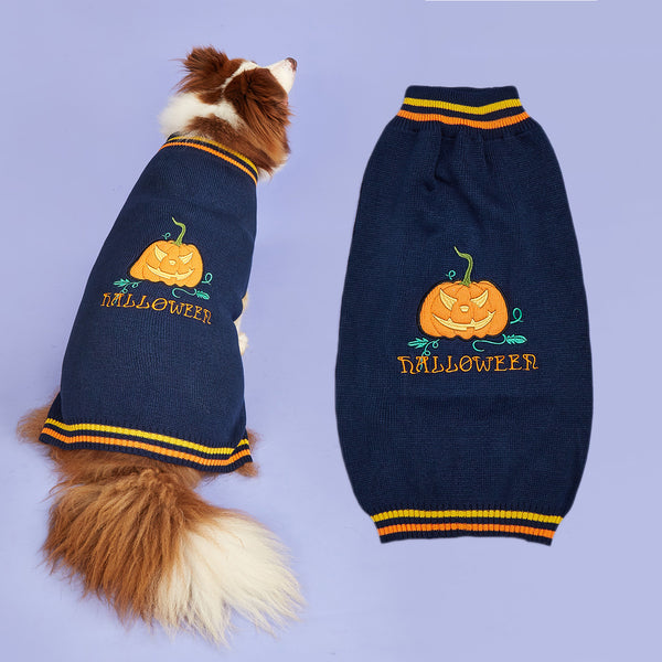 Pet New Pumpkin Sweater in Blue