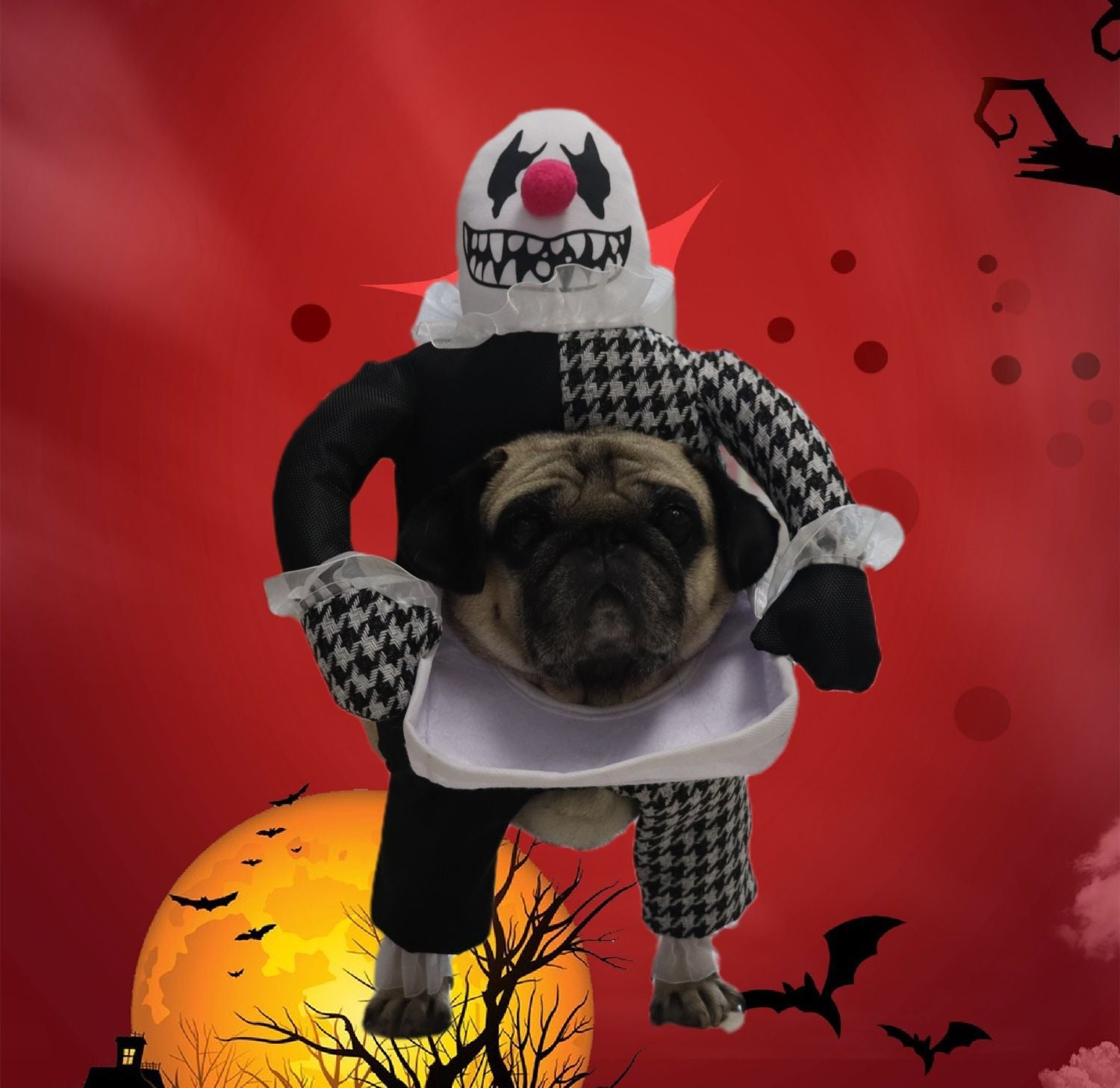 Pet Halloween Costume Photo Props Demon Transformation - Discount Halloween City