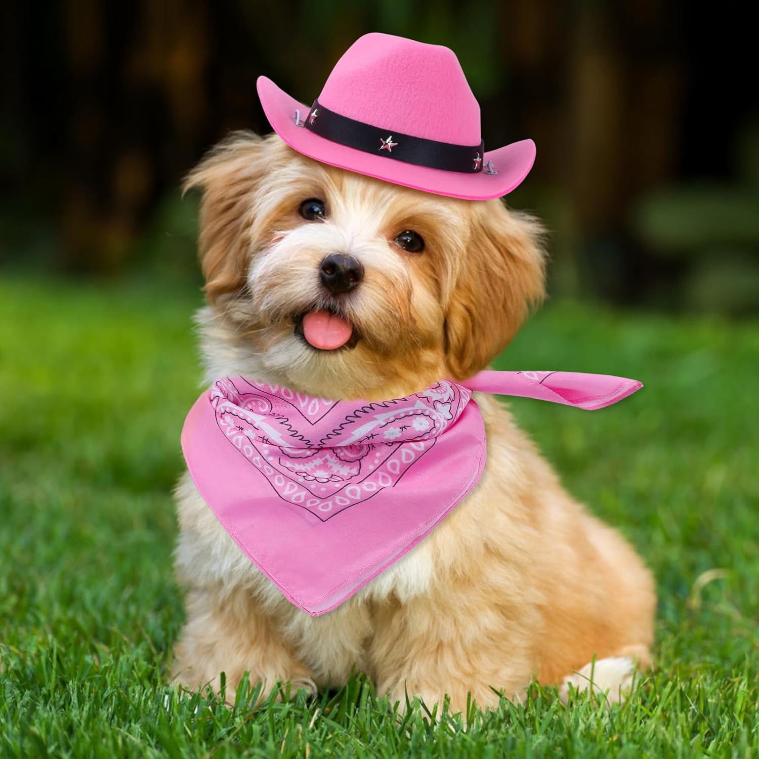 Cat Cowboy Costume Cat Cowboy Hat and Bandana Set Cat - Discount Halloween City