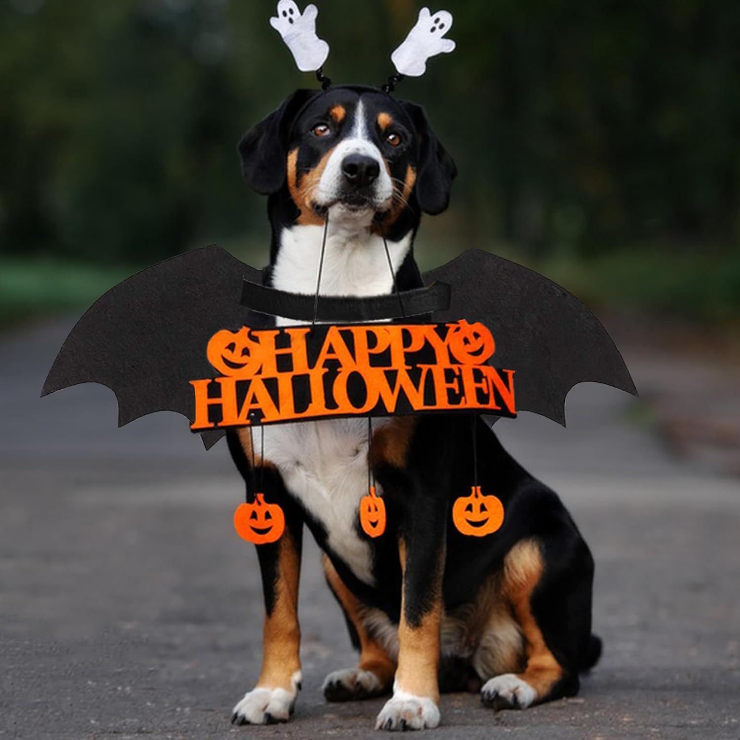Dog Halloween Costumes Dog Bat Costume Cool Luminous - Discount Halloween City