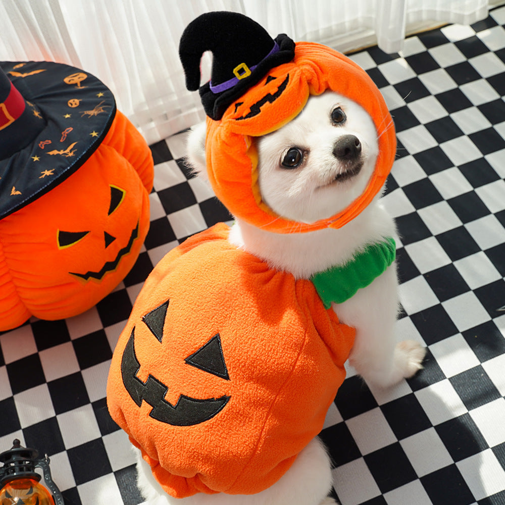 Halloween Pumpkin Vest for Dogs Cats Festive Pet Costume - Discount Halloween City